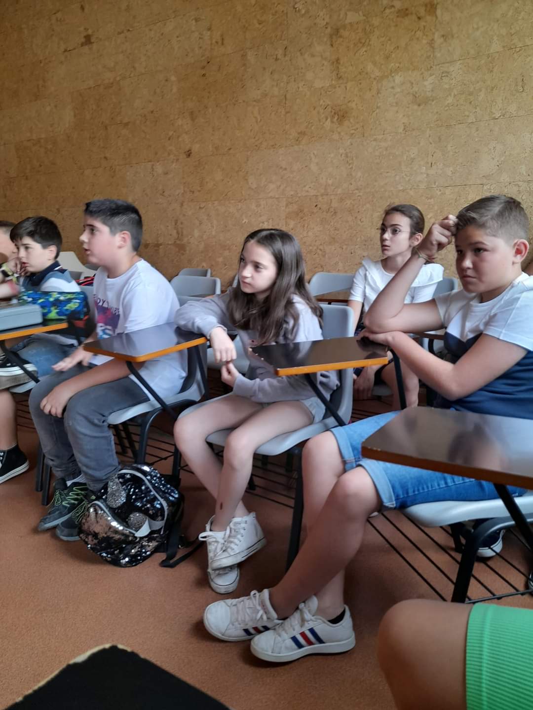 Consejo Local De La Infancia Ceip Miragenil Puente Genil 5058