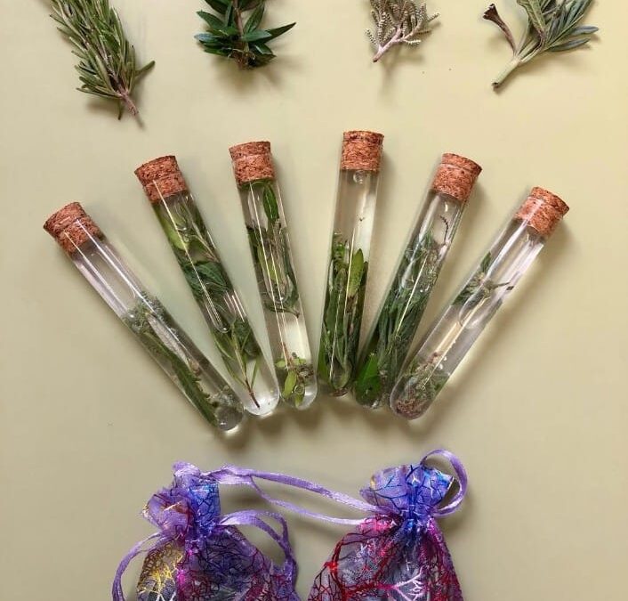 Talleres con plantas aromáticas