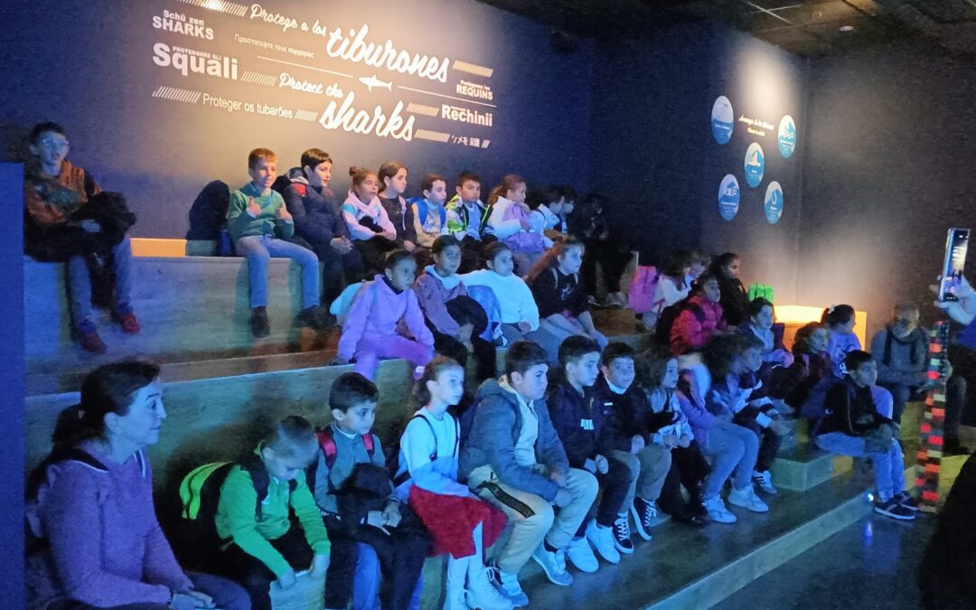 VISITA 1º CICLO AL ACUARIO DE SEVILLA