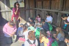 WhatsApp-Image-2025-11-04-at-13.31.34-1