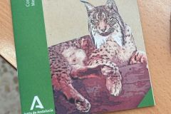 WhatsApp-Image-2025-11-04-at-13.31.34