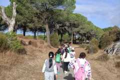 WhatsApp-Image-2025-11-04-at-13.31.35-1