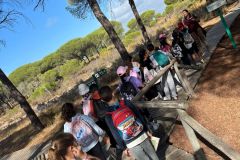 WhatsApp-Image-2025-11-04-at-13.31.46