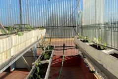 WhatsApp-Image-2025-11-04-at-11.13.57-1