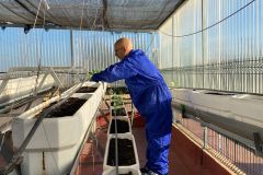 WhatsApp-Image-2025-11-04-at-11.13.57