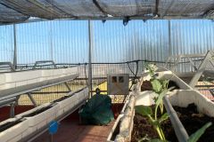 WhatsApp-Image-2025-11-04-at-11.13.58-7