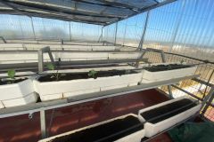 WhatsApp-Image-2025-11-04-at-11.13.58-8