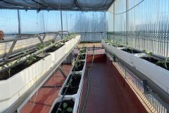 WhatsApp-Image-2025-11-04-at-11.13.58