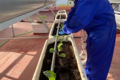 WhatsApp-Image-2025-11-04-at-11.13.59-4