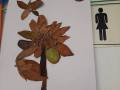otoño-15
