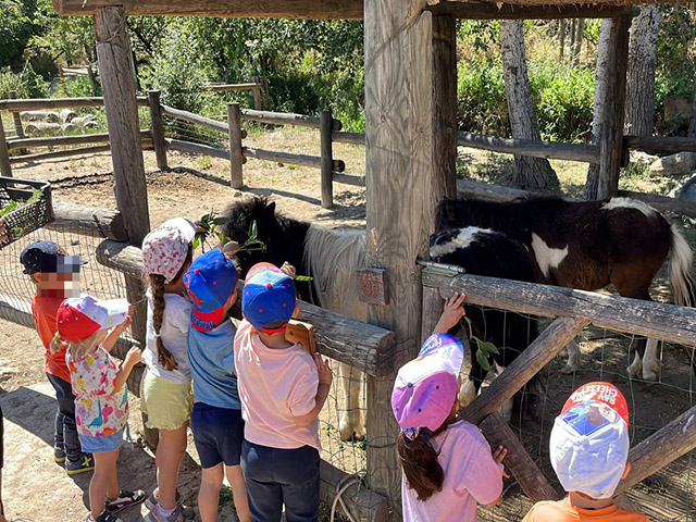 Granja escuela