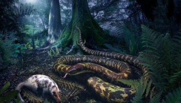 serpiente