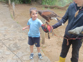 IMG_20250509_115834