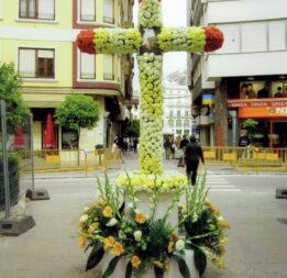 Cruz de mayo solidaria
