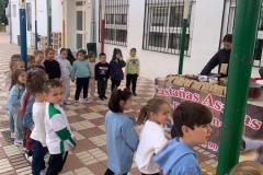 WhatsApp-Image-2025-11-15-at-18.05.53