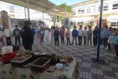 WhatsApp-Image-2025-11-15-at-18.06.16