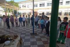 WhatsApp-Image-2025-11-15-at-18.09.34