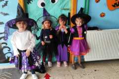 WhatsApp-Image-2025-11-15-at-16.51.55