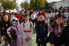 WhatsApp-Image-2025-11-15-at-16.57.53