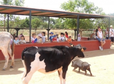 Finca Albahaca (16)