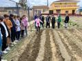 HUERTO-ESCOLAR-9-3-23-31