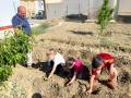 HUERTO-ESCOLAR-11-5-23-16