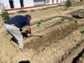 HUERTO-ESCOLAR-11-5-23-47