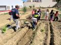 HUERTO-ESCOLAR-11-5-23-50