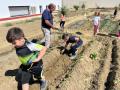 HUERTO-ESCOLAR-11-5-23-51
