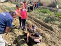 HUERTO-ESCOLAR-11-5-23-53