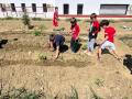 HUERTO-ESCOLAR-11-5-23-54