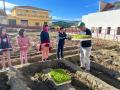 3ºSiembra-Huerto-20-12-23-10
