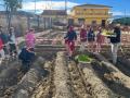 3ºSiembra-Huerto-20-12-23-2