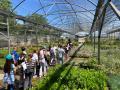 Visita-vivero-9-5-25-29