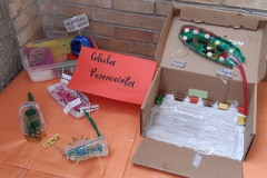 celulas-2