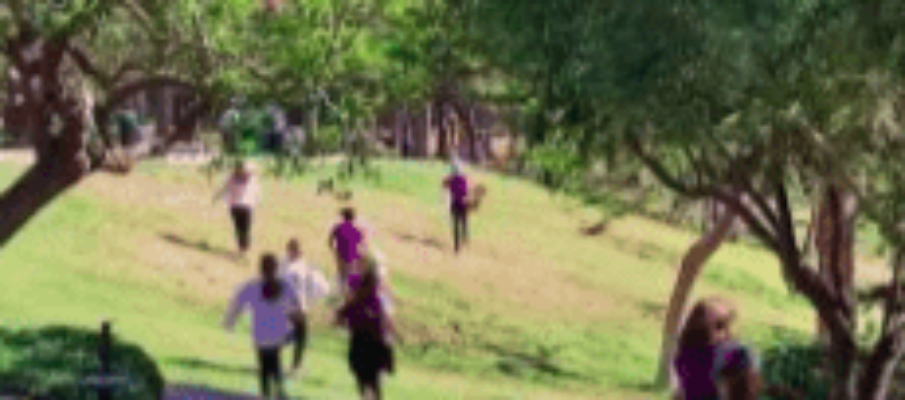 Captura de pantalla de 2023-08-13 09-40-47