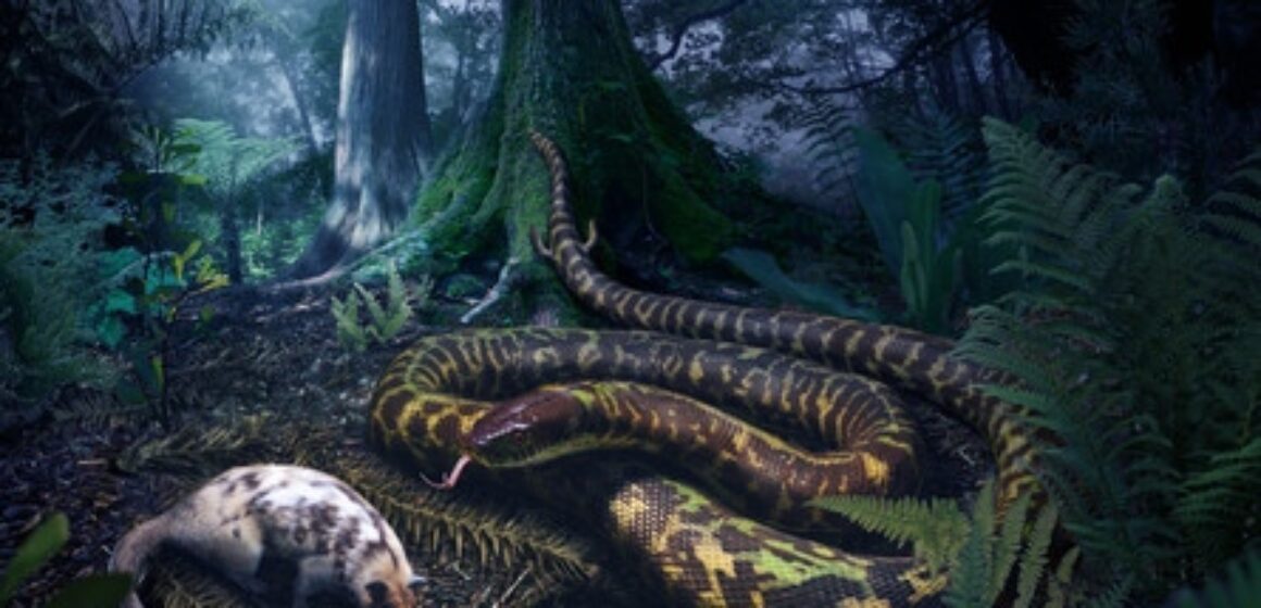 serpiente