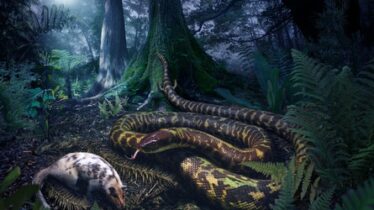 serpiente