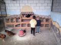 4-AÑOS-gallinas
