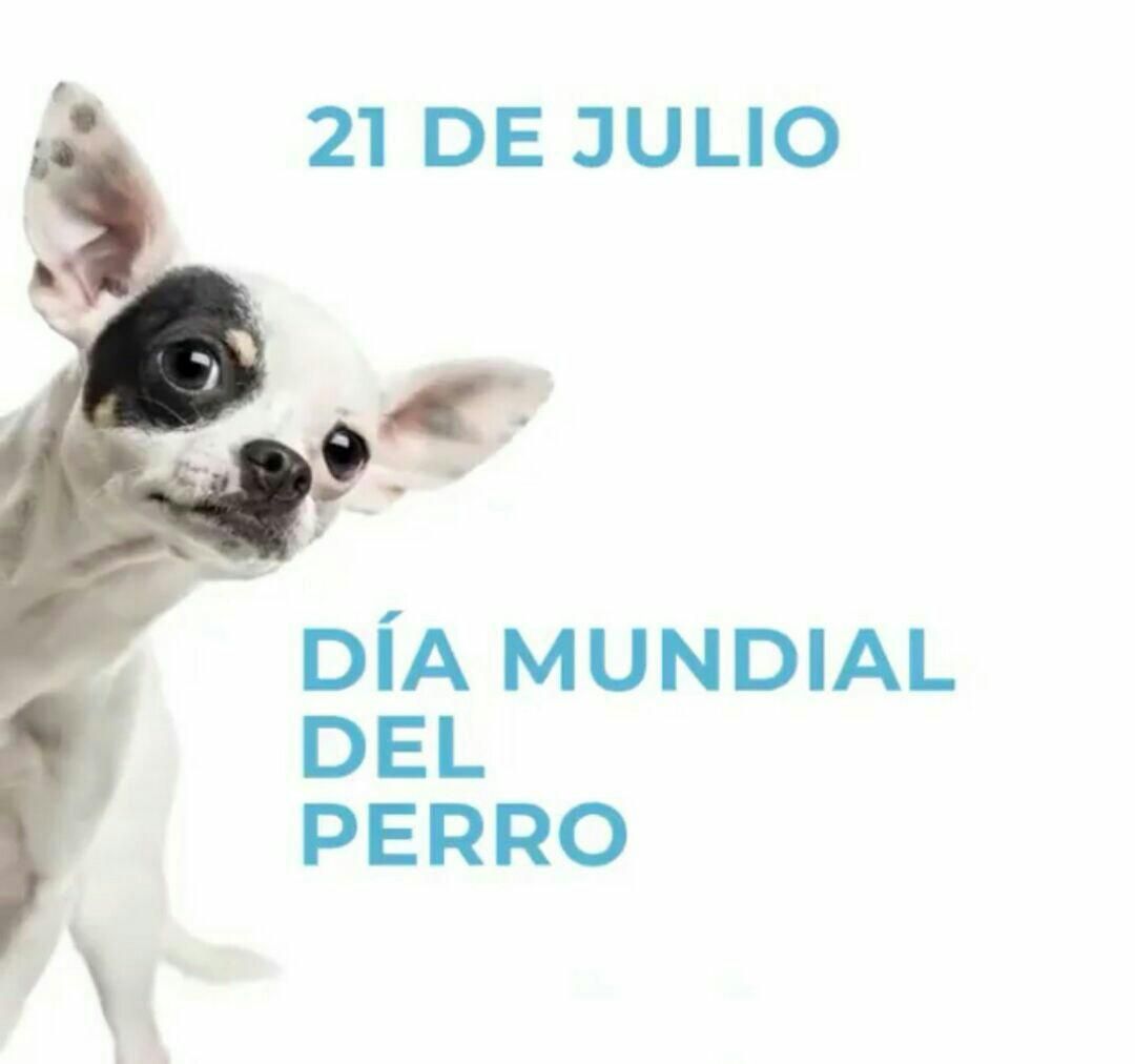 DÍA MUNDIAL DEL PERRO, 21 DE JULIO | CEIP Tetuán (Linares)
