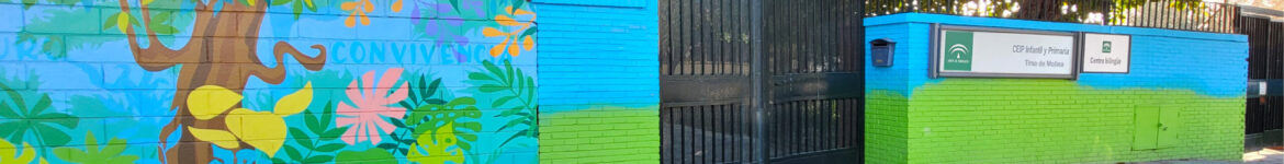 cropped-cole-scaled-1.jpg