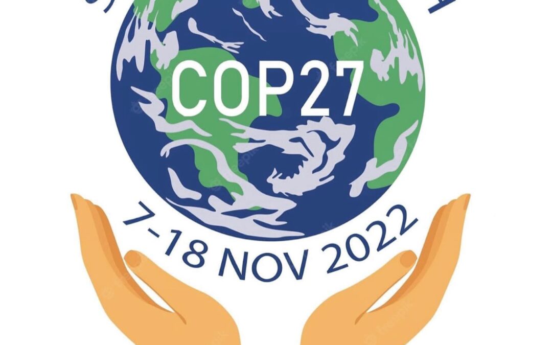 Conferencia de las Naciones Unidas sobre el Cambio Climático 2022