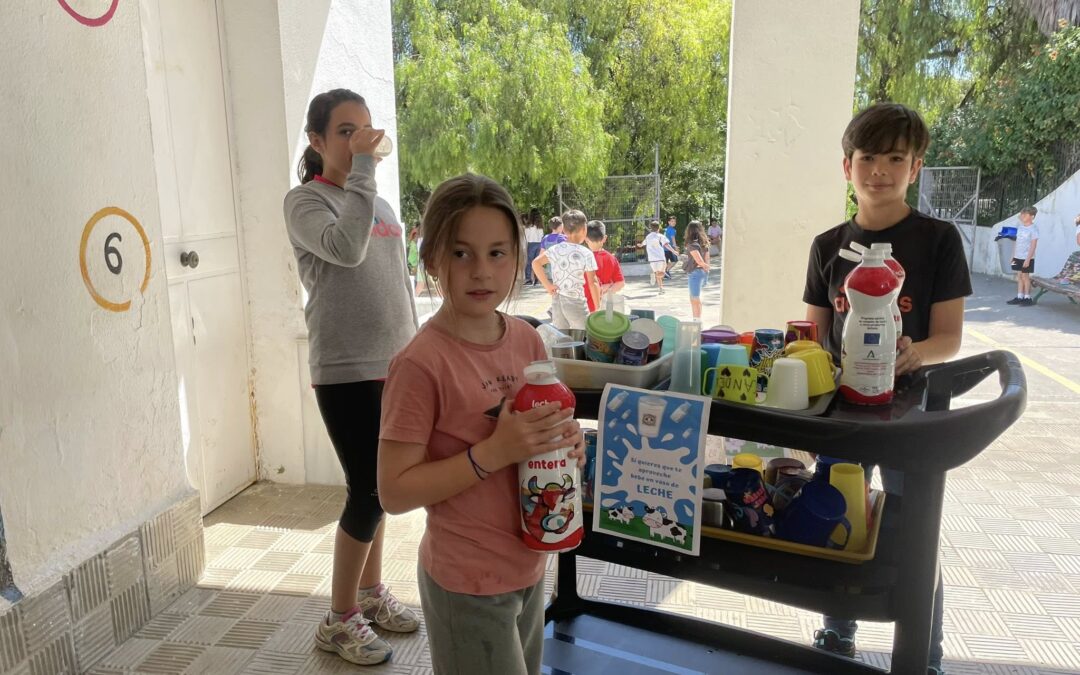 3ª entrega de leche