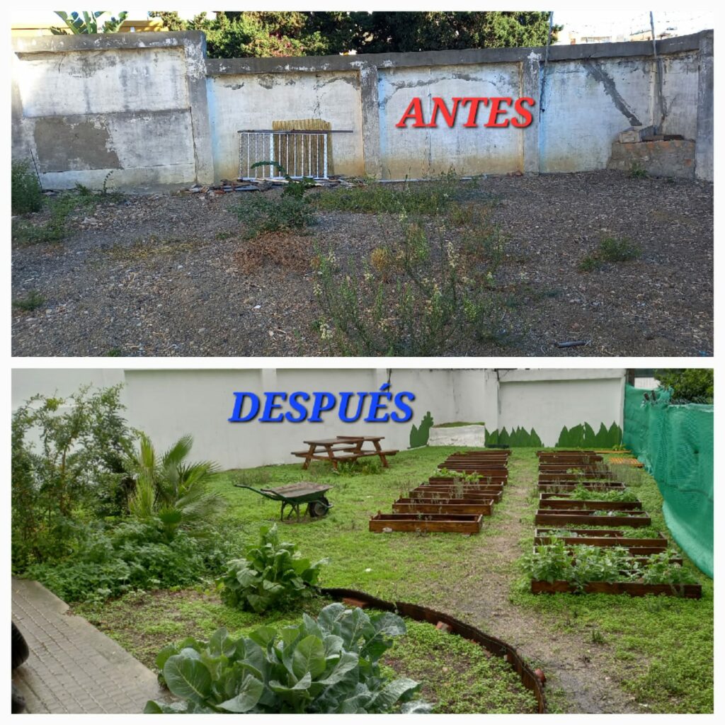 Evolución del huerto