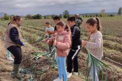 IMG-20231109-WA0014