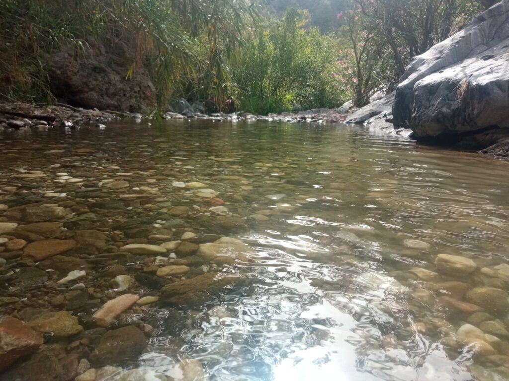 B. Blanco