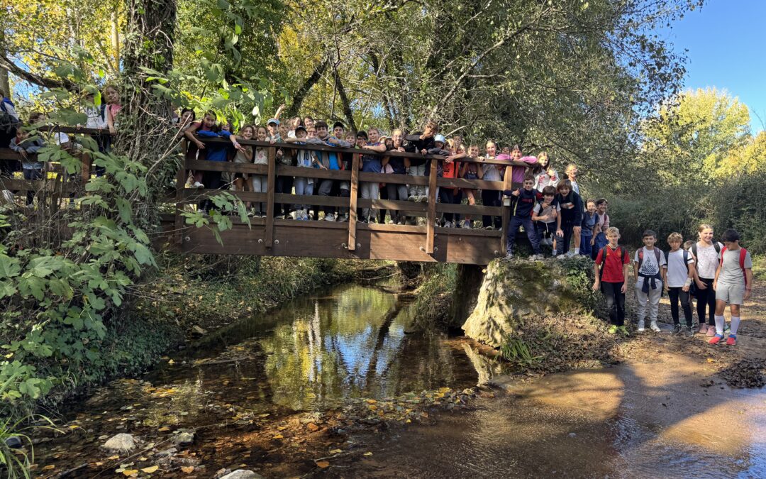 Senderismo de Santa Ana La Real (Huelva) El Bosque de las Letras. Cursos de 5º