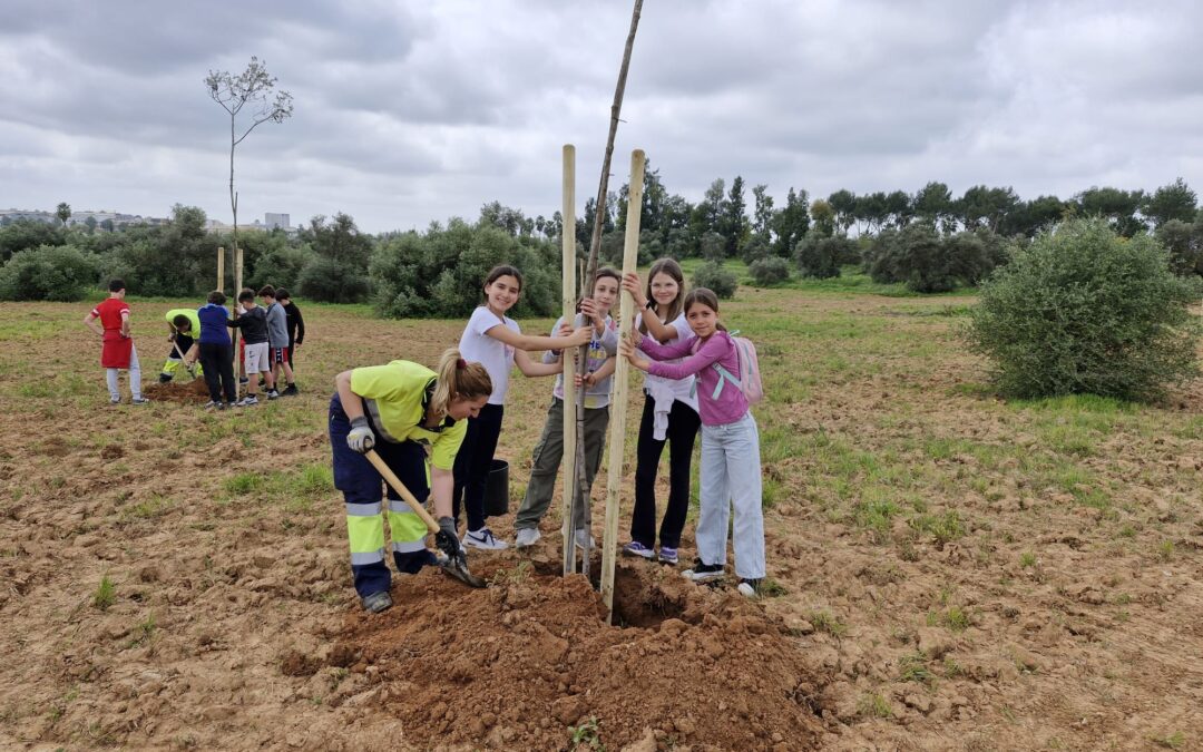 Campaña de implantación de árboles. Ayuntamientod e Tomares. Alumnado de 5º