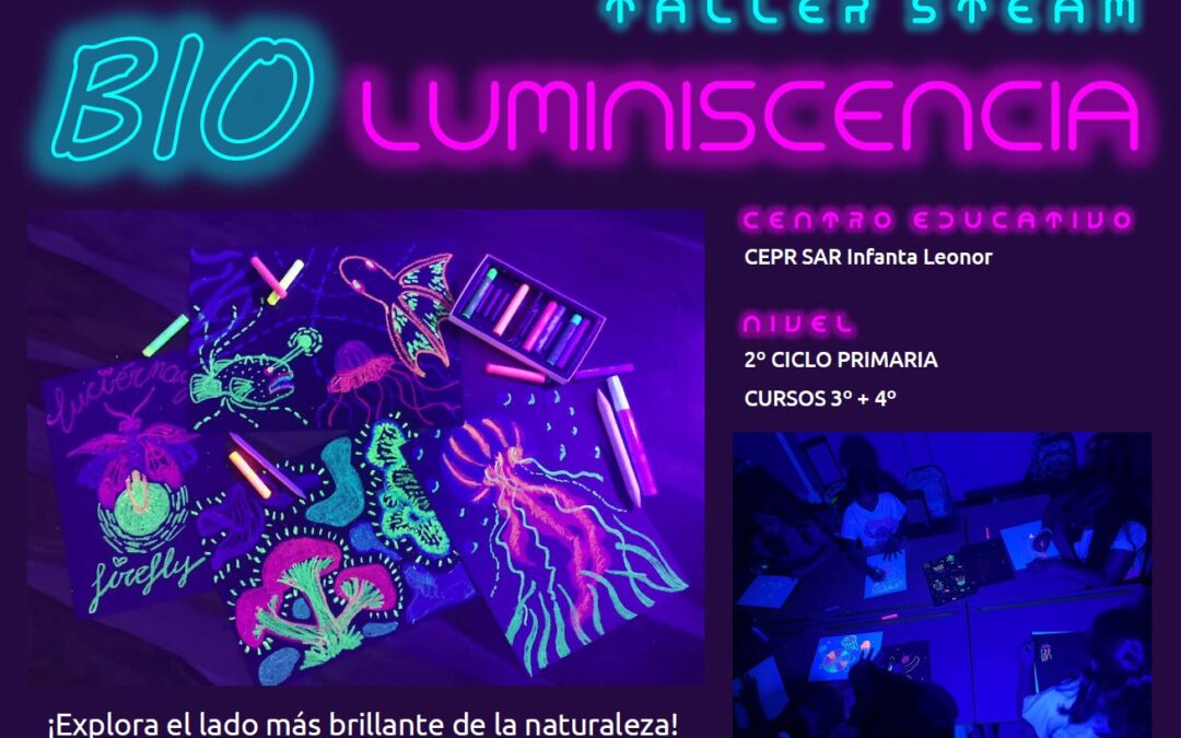 Taller de luminiscencia. Cursos de 3º y 4º ( AMPA)