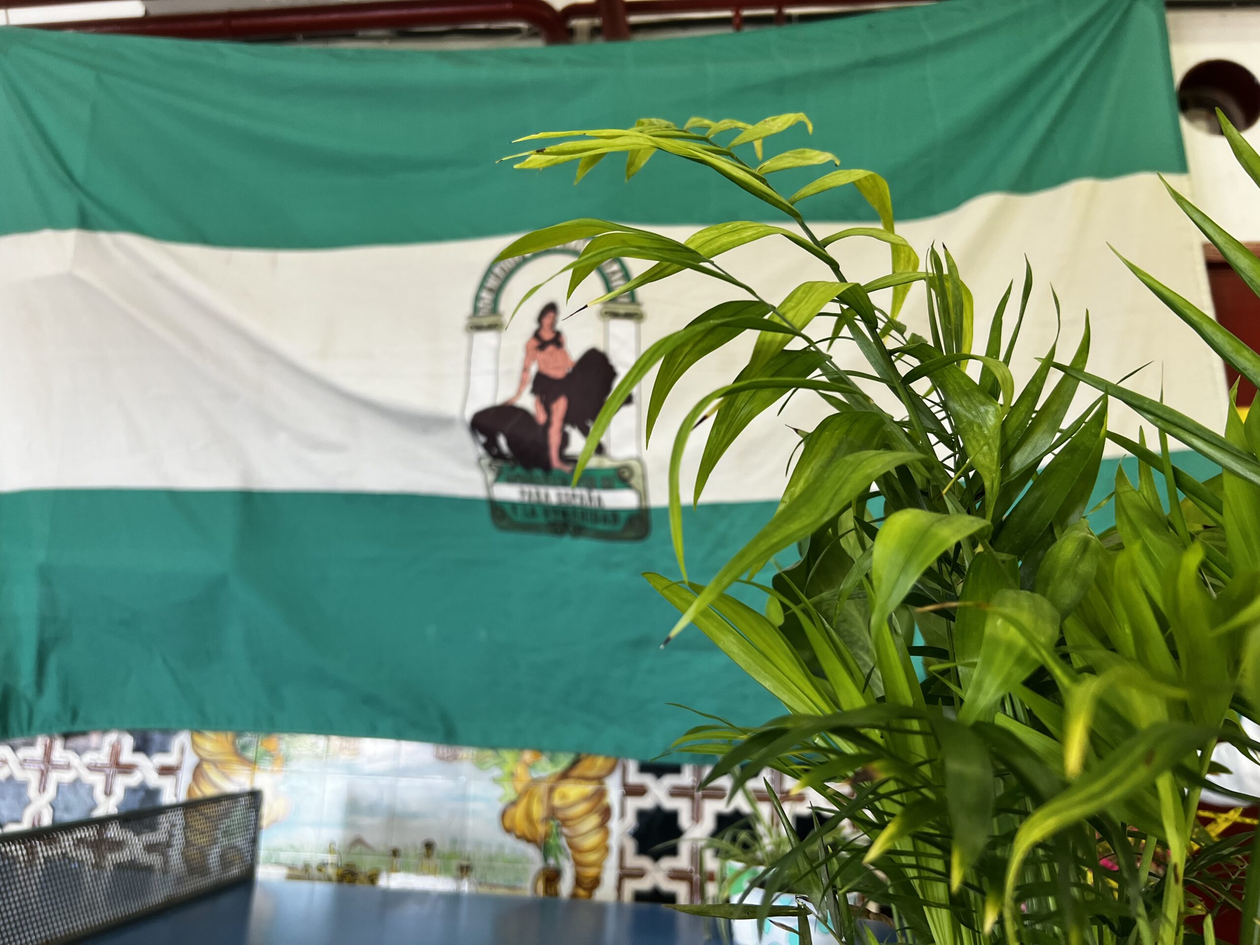 28F celebración del día de Andalucía
